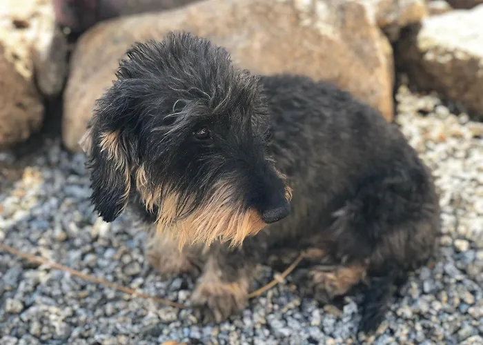 Banana, Near Tropea *