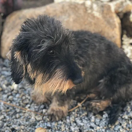 Banana, Near Tropea *
