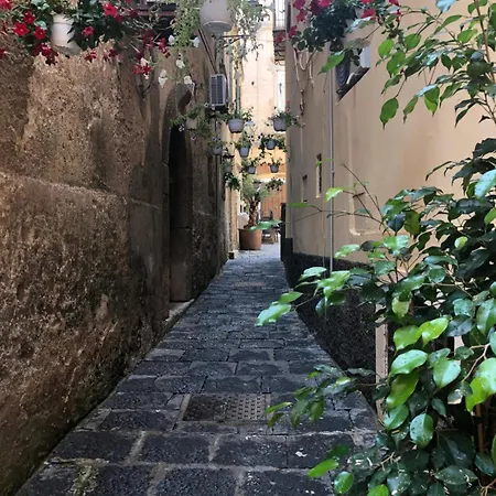 Banana, Near Tropea * 파르겔리아