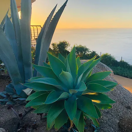 Banana, Near Tropea