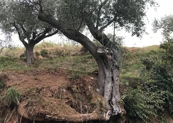 Banana, Near Tropea דירה